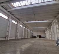 A large hall with a high ceiling and lighting, suitable for warehouses and halls.