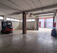 Warehouses and halls with forklifts and concrete floors.