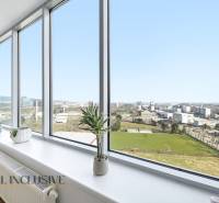 View from a 2-room apartment with large windows, indoor plants, wooden decor flooring.