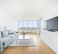 Living room in a two-room apartment with a sofa, television, and wooden decor flooring.