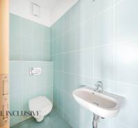 Bathroom with blue tiles and a wall-hung toilet in a 2-room apartment.