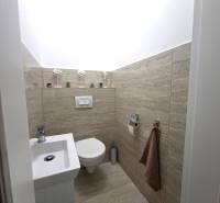 Compact toilet in a family house with a wooden decor floor, decorative details.