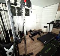 Home fitness in a family house with a wooden decor floor, gym and treadmill.