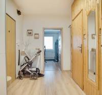 A hallway with light wood decor and a stroller in a 3-room apartment.