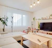 Living room in a 3-room apartment with a sofa, television, and wooden decor flooring.