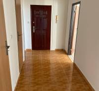 A hallway in a 3-room apartment with a wooden decor floor and wooden doors.