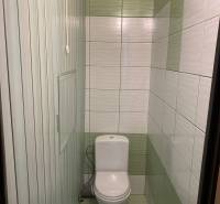 A toilet in a 3-room apartment with tiles in green and white tones.
