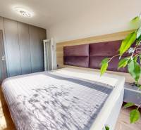 A bedroom in a three-room apartment with a wooden decor floor, a large bed, and a plant.