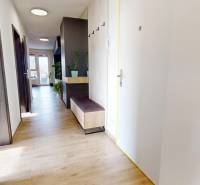 A hallway in a 3-room apartment with a wooden decor floor and storage space.
