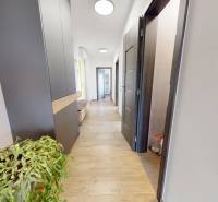 A hallway in a 3-room apartment with a wooden decor floor and a houseplant.