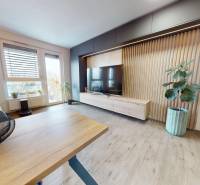 Living room in a 3-room apartment with a wooden decor floor and houseplants.