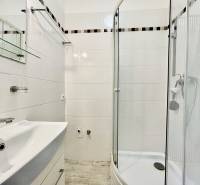 Bathroom in a studio apartment with a sink and a shower, white tiles.