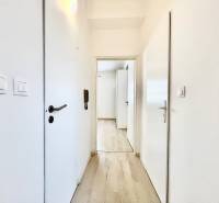 A bright hallway with a wood-patterned floor in a studio apartment.