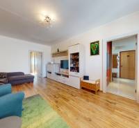 Living room in a 4-room apartment with wood-patterned flooring, comfortable seating, and decorations.