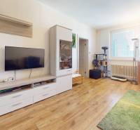Living room in a 4-room apartment with a wood-patterned floor and furniture.