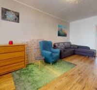 Living room in a 4-room apartment with wood-patterned flooring, a sofa, and an armchair.