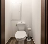 A toilet with a wooden decor floor in a 2-room apartment.