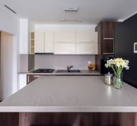 A kitchen in a 2-room apartment with a cooktop, dark cabinets, and flowers on the table.