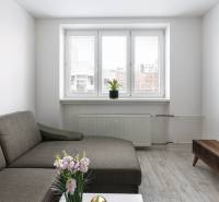 Living room in a two-room apartment with a sofa, coffee table, and wooden decor flooring.