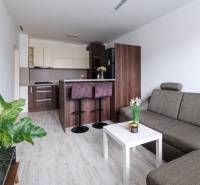 Living room with kitchen, sofa, bar counter, and wooden decor flooring in a two-room apartment.