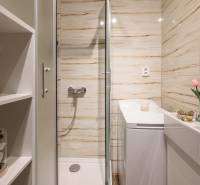 Bathroom with flowers, shower, sink, and mirror in a 2-room apartment.