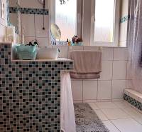 A bathroom in a 2-room apartment with square mosaic tiles and a plant.