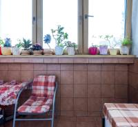 Furnished 4-room apartment with flowers on the windowsill and a table with a carpet on the balcony.