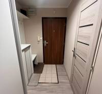 A hallway with a wooden decor floor, coat hooks, and doors in a 3-room apartment.