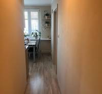 A narrow corridor in a 3-room apartment leads to a bright dining room with plants and decorations.