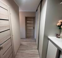 A hallway in a 3-room apartment with a wooden decor floor.