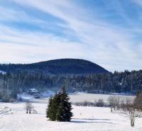 A snowy landscape in Dolná Lehota with a cottage and forest in the background.