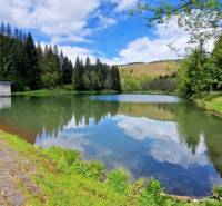 A peaceful body of water surrounded by forests in Dolná Lehota.
