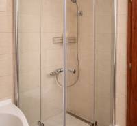 A shower corner in a 3-room apartment with a simple design and light tiles.