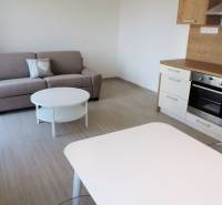 A stylish studio apartment with a kitchenette, sofa, and table on Bodona Street.