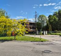 Trees and shrubs near a fenced property, close to the intersection on Bodona Street.