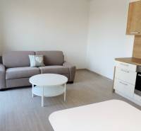 A studio apartment on Bodona Street with a sofa, kitchenette, and coffee table.