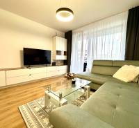 Living room in a two-room apartment with a sofa, television, and wooden decor flooring.