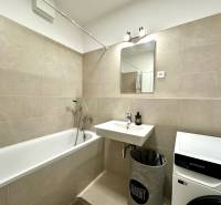 Bathroom in a 2-room apartment with a bathtub, sink, and washing machine.