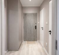 Entrance hallway with wood-patterned flooring in a 2-room apartment.