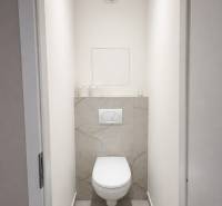 A toilet with a wall-hung bowl and simply styled tiles in a 2-room apartment.