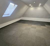 Attic space with carpet in commercial premises, skylight, spot lighting.