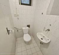 A small bathroom with a toilet and a sink in commercial premises.