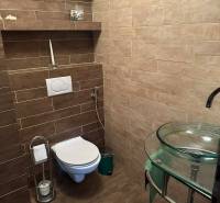 A bathroom in a family house with a wooden decor floor and modern toilet equipment.