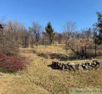 A garden by a family house in Lipovec with trees and a stone wall.