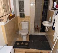 Bathroom in a family house with a toilet, shower, and washing machine.