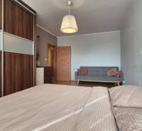 Bedroom in a 2-room apartment with a sofa, wardrobe, and wooden decor flooring.