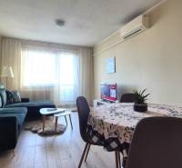 Living room in a two-room apartment with a sofa, dining table, and wooden decor flooring.