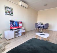 Living room in a two-room apartment, wooden decor flooring, television, dining table.