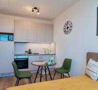 A kitchen in a studio apartment with a wood-patterned floor, a dining table, and a sofa.