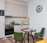 Kitchen in a studio apartment with a wooden decor floor and a dining table.